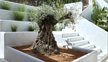Resa Estates Ibiza koop sale Cala Moli villa seaviews modern olive tree.jpg